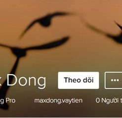 Maxdong (Max Đồng) vay tiền lừa đảo hay uy tín?