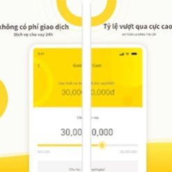 Đồng Heo Con Vay Tiền Hạn Mức Tốt Đến 60 Triệu
