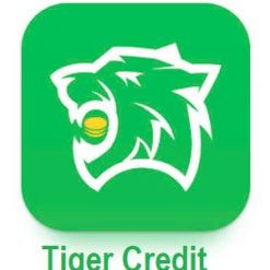 Tiger Credit vay online nhanh 10 triệu
